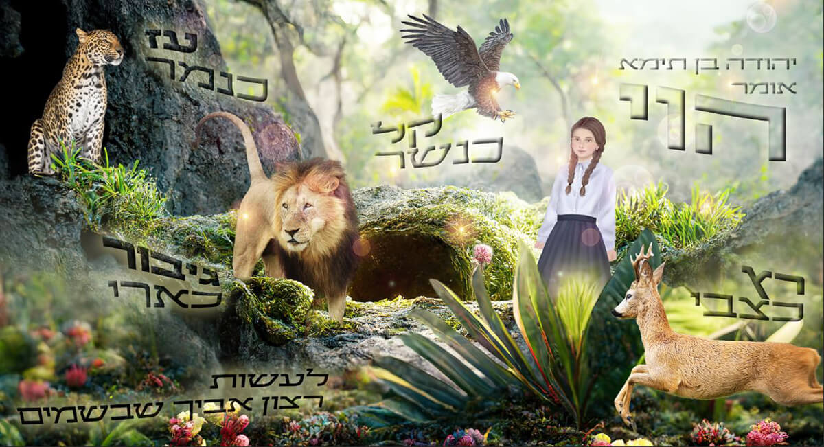 הוי עז לרוחב - Restart