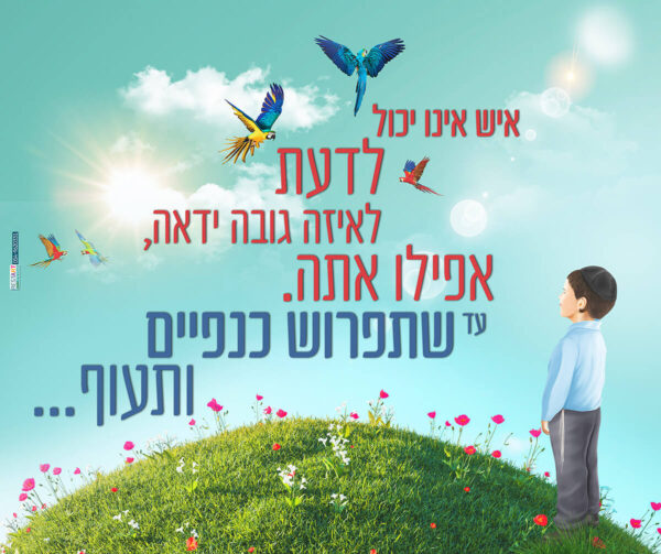 תפרוש כנפיים ותעוף