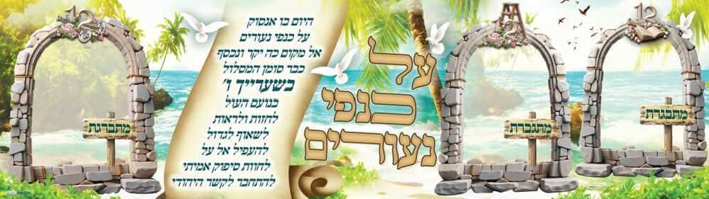 על כנפי נעורים
