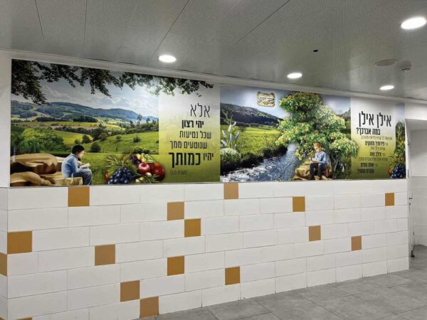 אילן