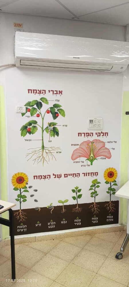 חיי הצמח