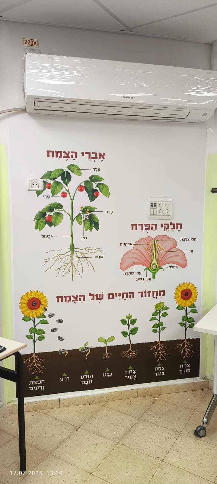 חיי הצמח