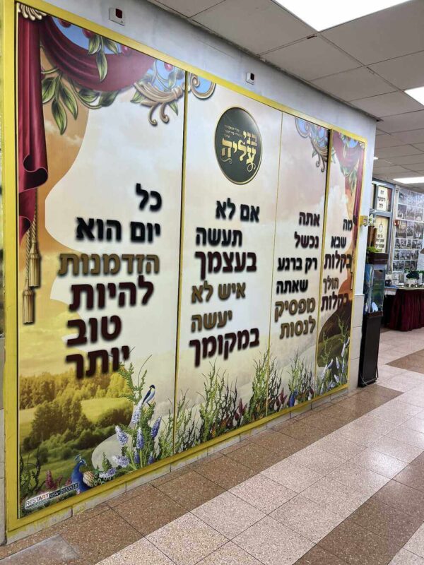 להתקדם כל יום