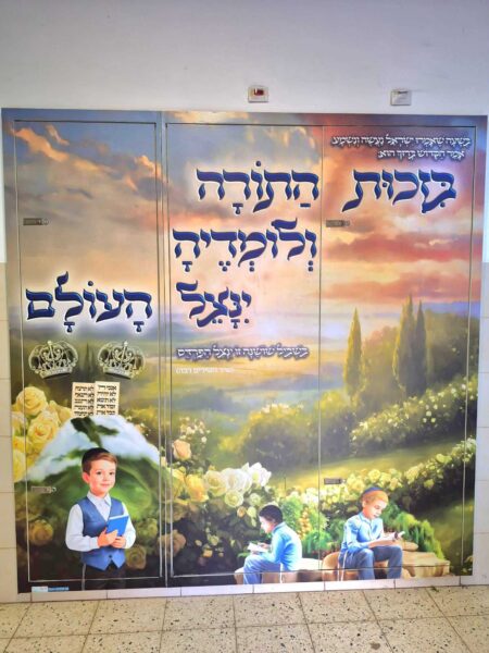 בזכות התורה