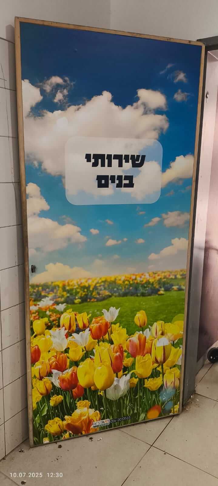 שדה פרחים